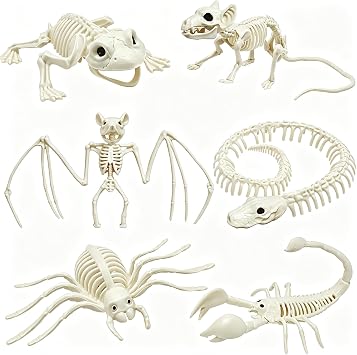 CAMIRUS 6Pack Animal Halloween Skeletons, Realistic Animal Skeleton