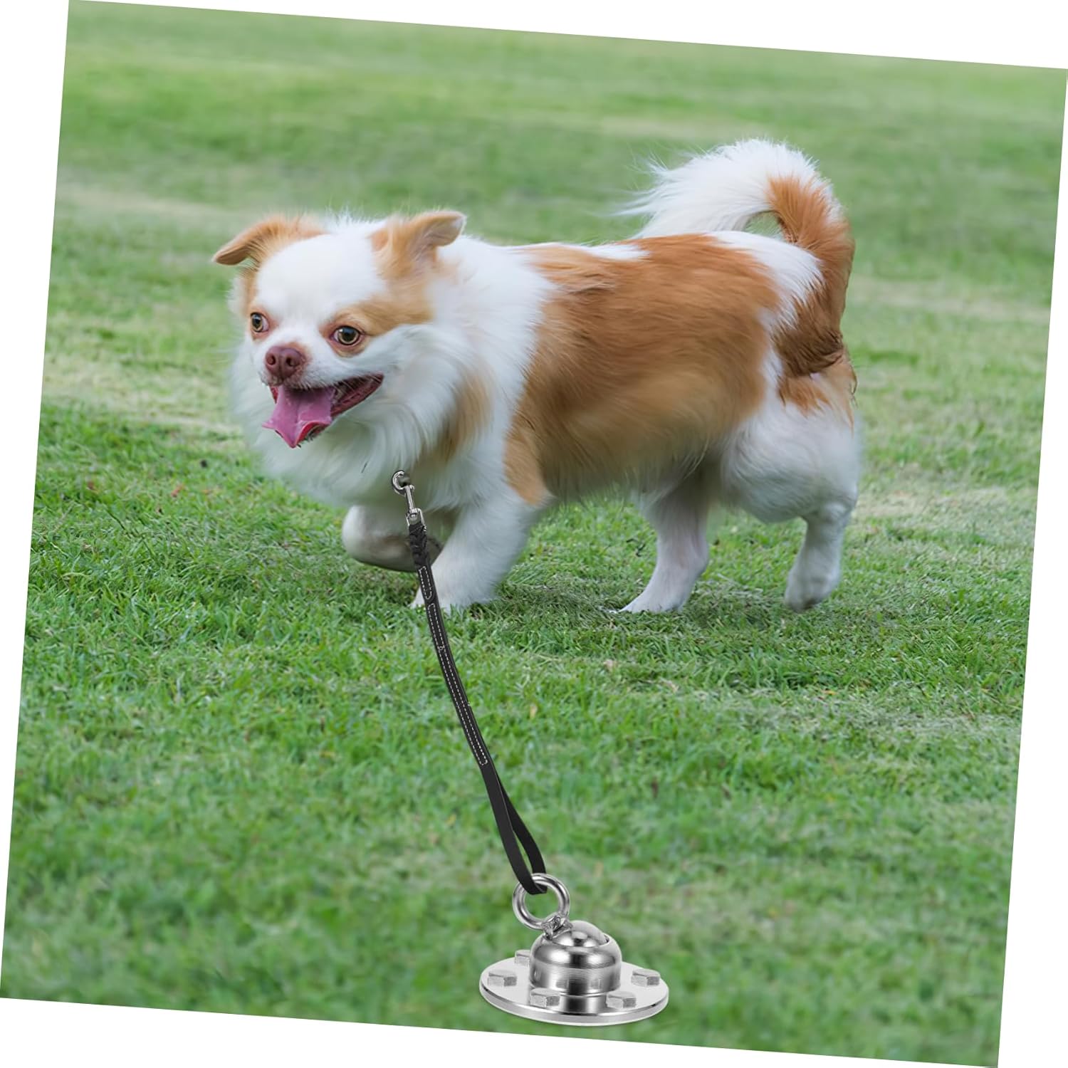 Dog Stake for Outdoor Heavy Duty Ground Stake Rotatable Base Sturdy Tie Out for Dogs for Camping Training