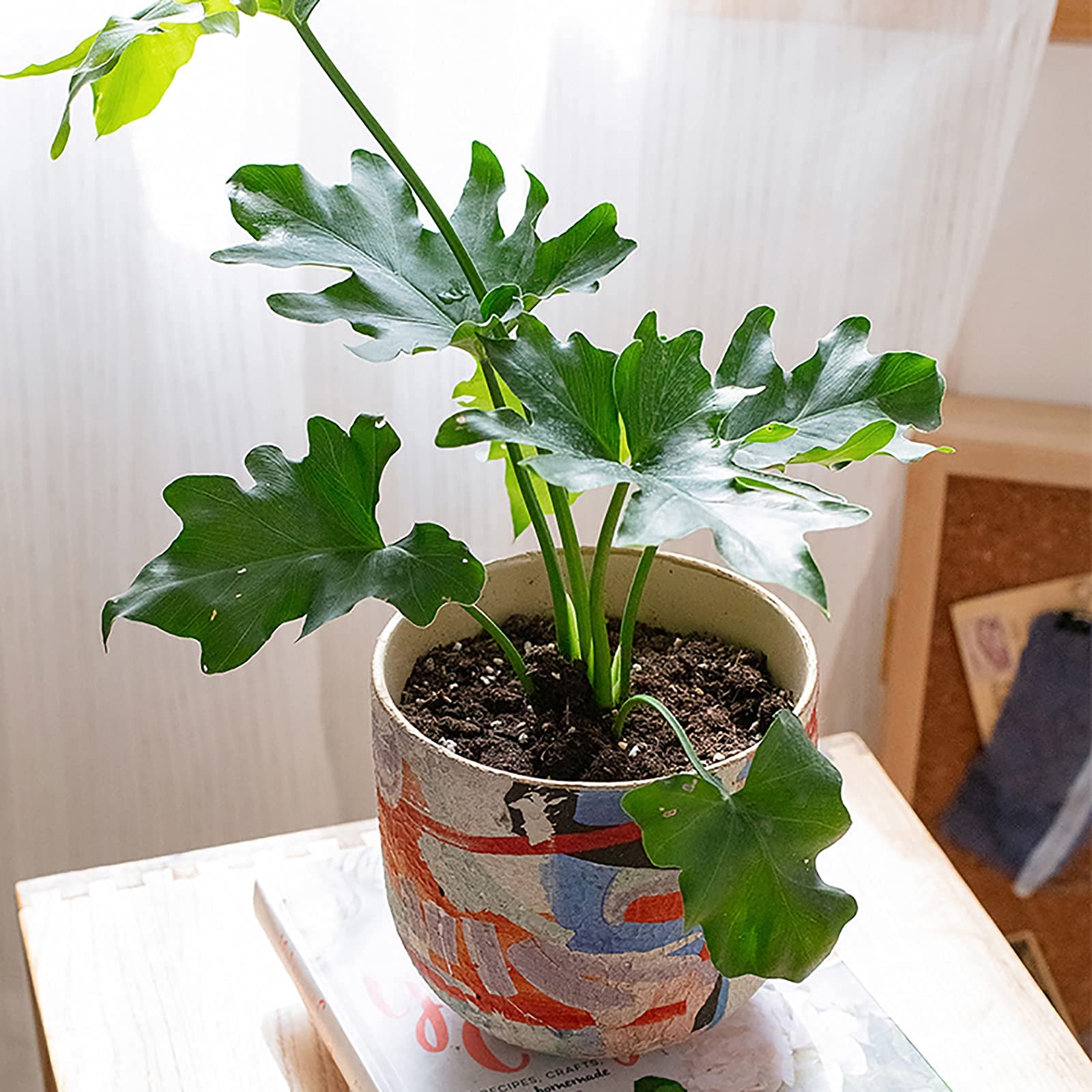 Amazon.co.jp: 自由奔放に生きるセラミック植木鉢、モダンアート