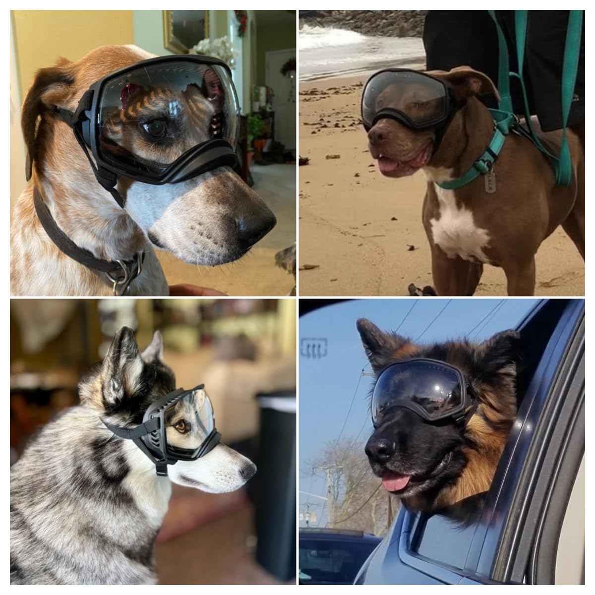 Enjoying Occhiali trasparenti per cani di taglia grande, occhiali da sole per cani di taglia media e grande, protezione UV per gli occhi degli animali domestici, occhiali da neve invernali per animali