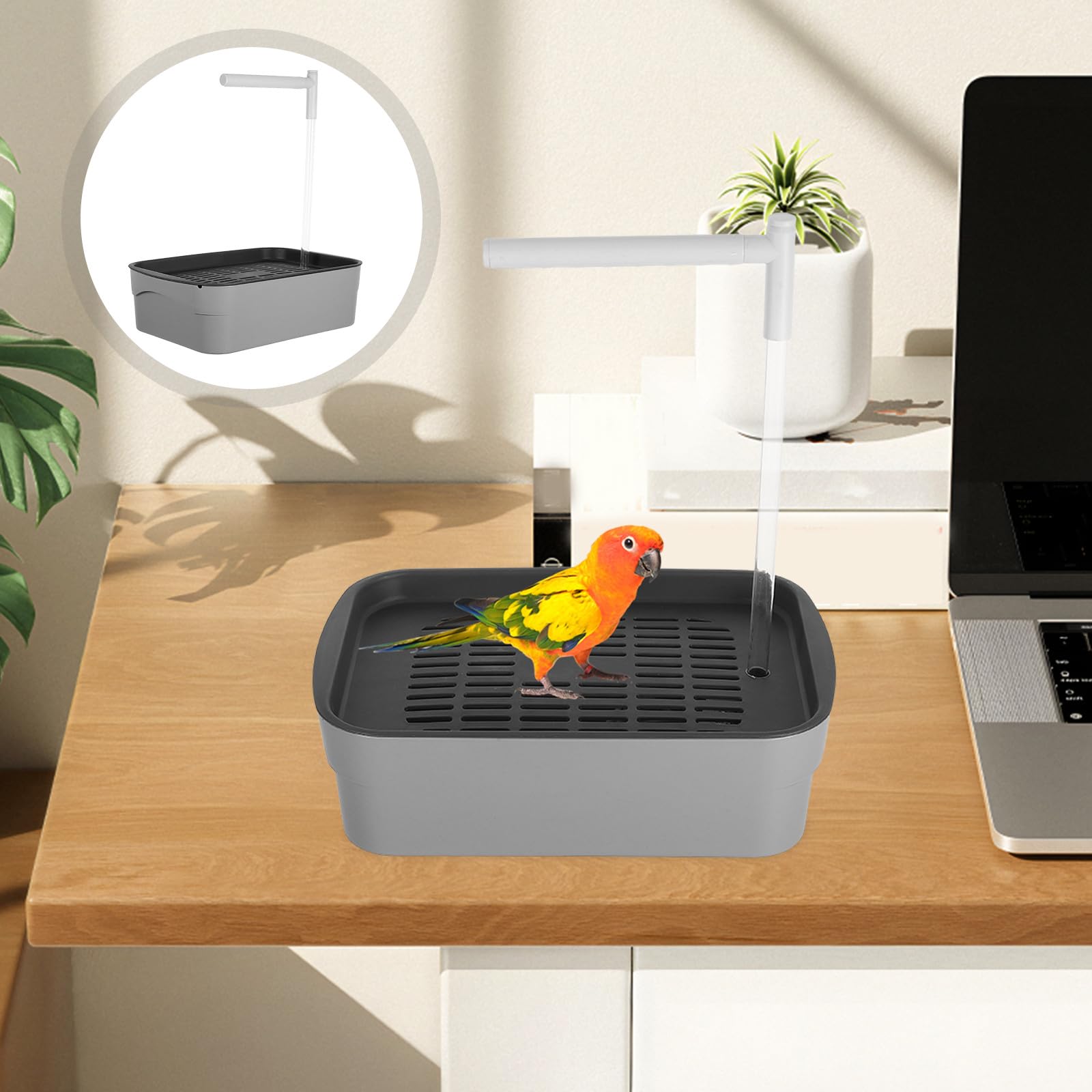 Bañera Automática Material Abs Resistente con Ducha para Pájaros para Periquitos y Cacatúas, Diseño Específico para Loros para Jaula de Aves