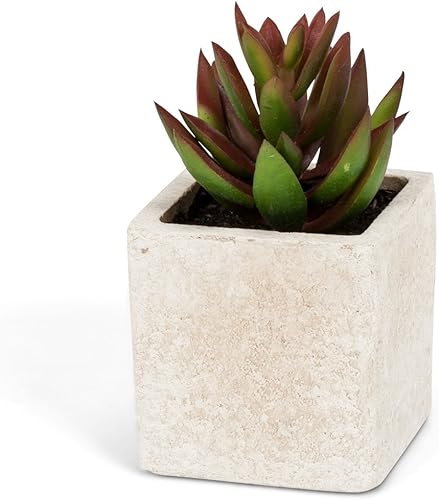 Miniatura 5 de Abbott Collection Ukoke U04GS - Energía eléctrica inalámbrica