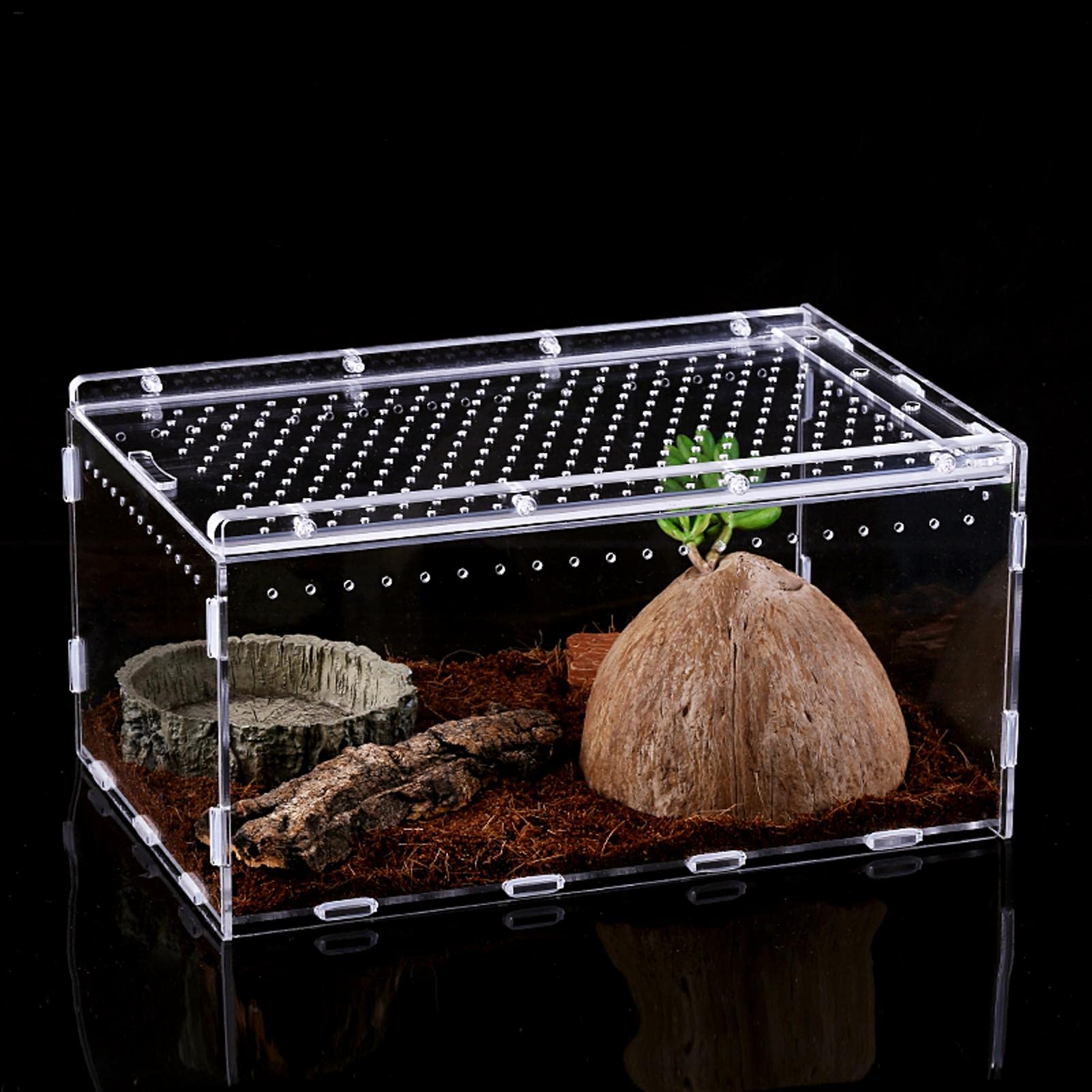 6個セット　爬虫類飼育　クリアアクリルケージ 30×20×15 Amazon | 爬虫類ケージ 飼育容器、トカゲ ケージ、20cm/30cm