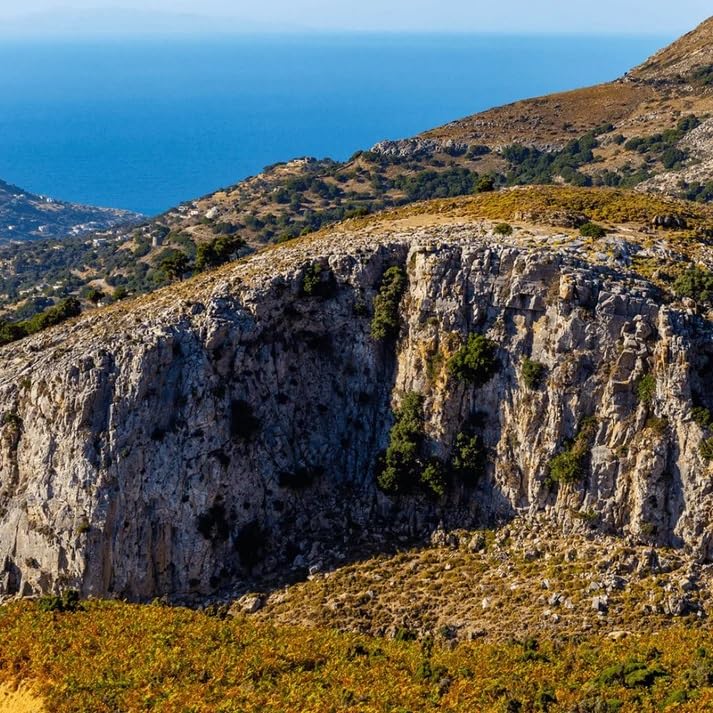 Miniatura 5 de Orégano griego salvaje de las zonas azules de Ikaria  Pimienta, picante, aromático  Perfecto para cocinar, condimentar, hacer té  100% natural  80 g