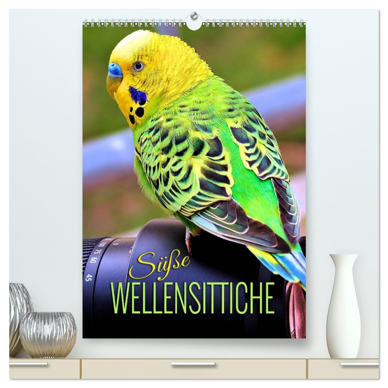 Süße Wellensittiche (hochwertiger Premium Wandkalender 2026 DIN A2 hoch), Kunstdruck in Hochglanz: Bezaubernde Bilder niedlicher Wellis unterschiedlicher Farbgebung (CALVENDO Tiere)