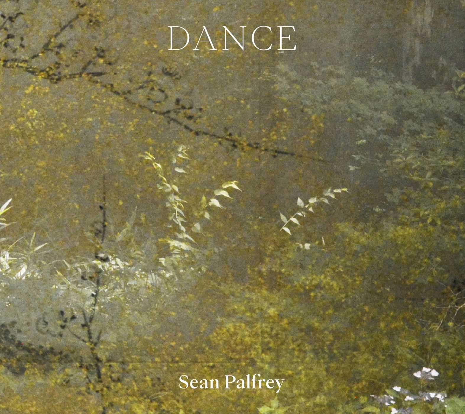 Sean Palfrey: Dance (Sean Palfrey Photography Series)