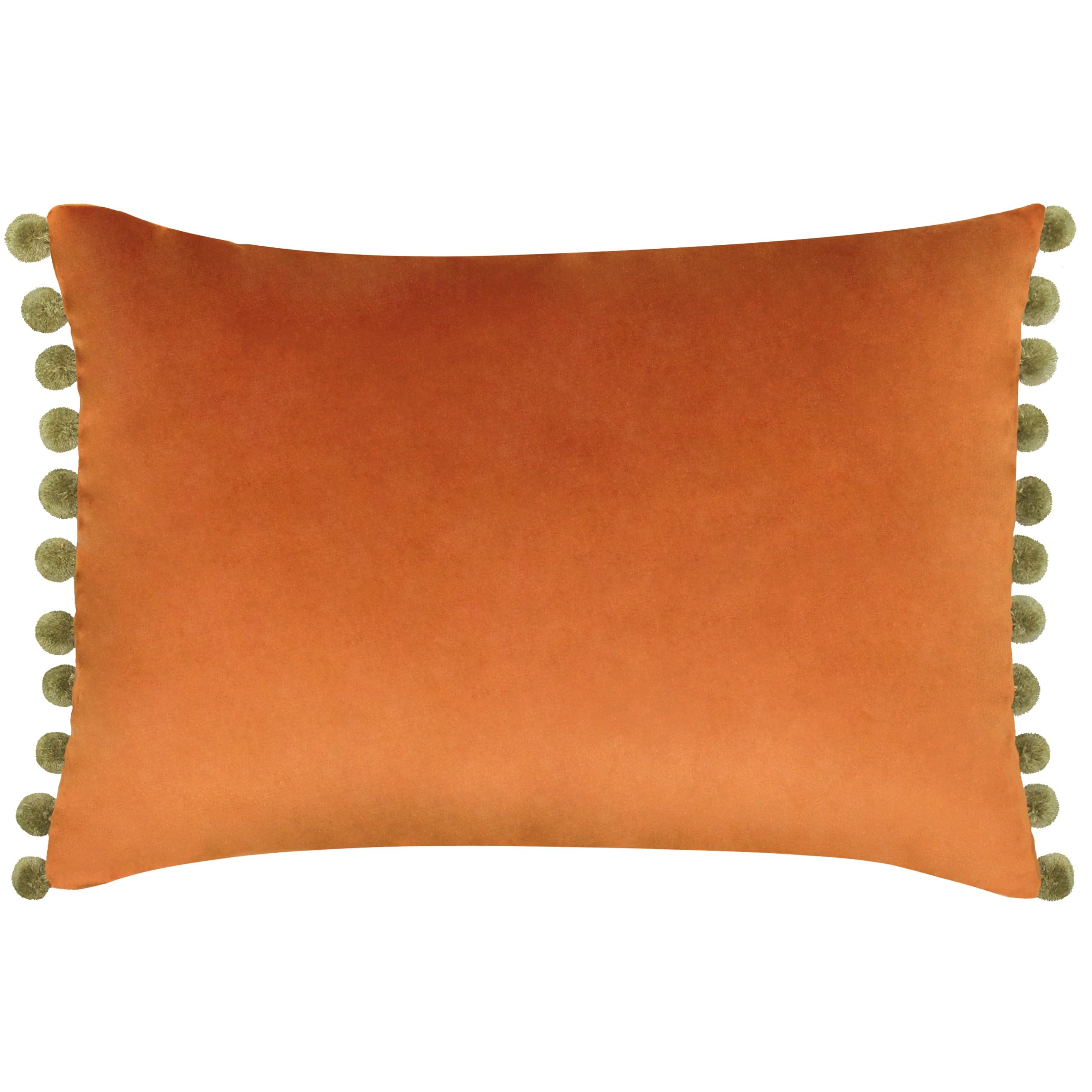 Paoletti Fiesta Velvet Feather Rich Cushion from B&Q