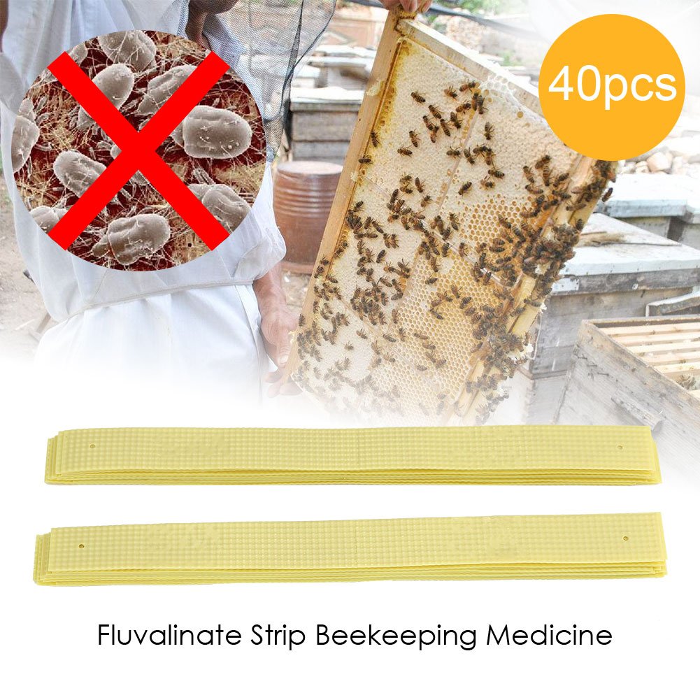 40 Unids Tiras Plásticas Tiras de Fluvalinato Ácaro Varroa dewin Medicina Apícola Medicina Asesina Apícola Tiras De Plástico Tira De Fluvalinato Abeja Ácaro Varroa Asesino Apicultura Medicina