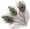 shekyeon 10-12inch Natural Peacock Feather for Wedding Table Centerpiece Pack of 10