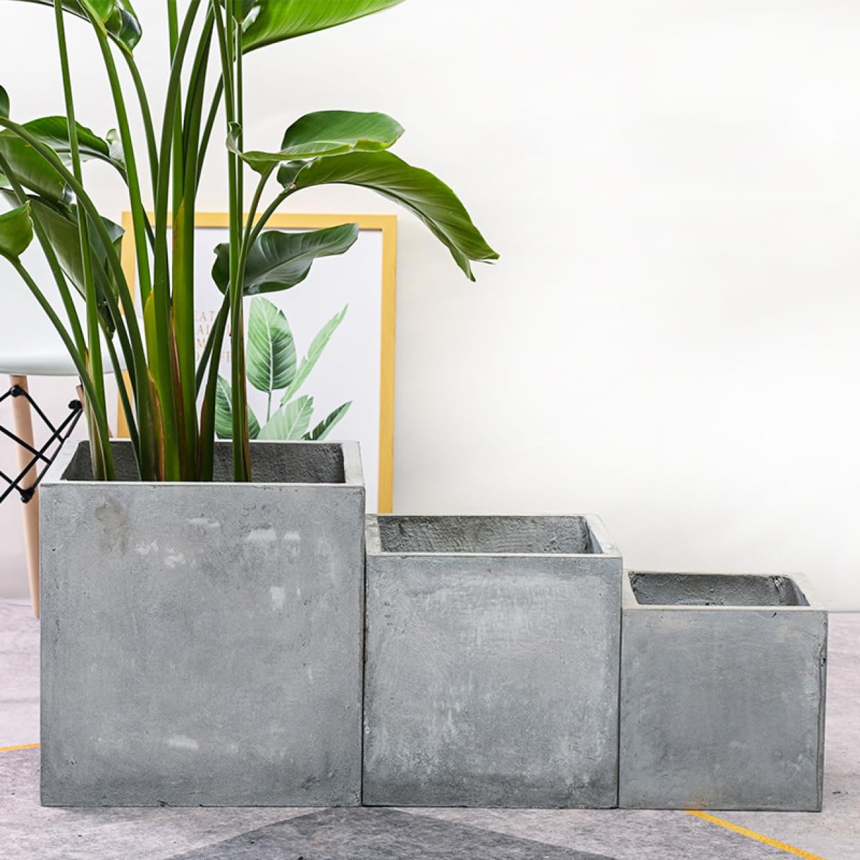 Amazon.co.jp: 園芸鉢 大きい 屋内植木鉢 サボテン鉢 観葉植物植木鉢