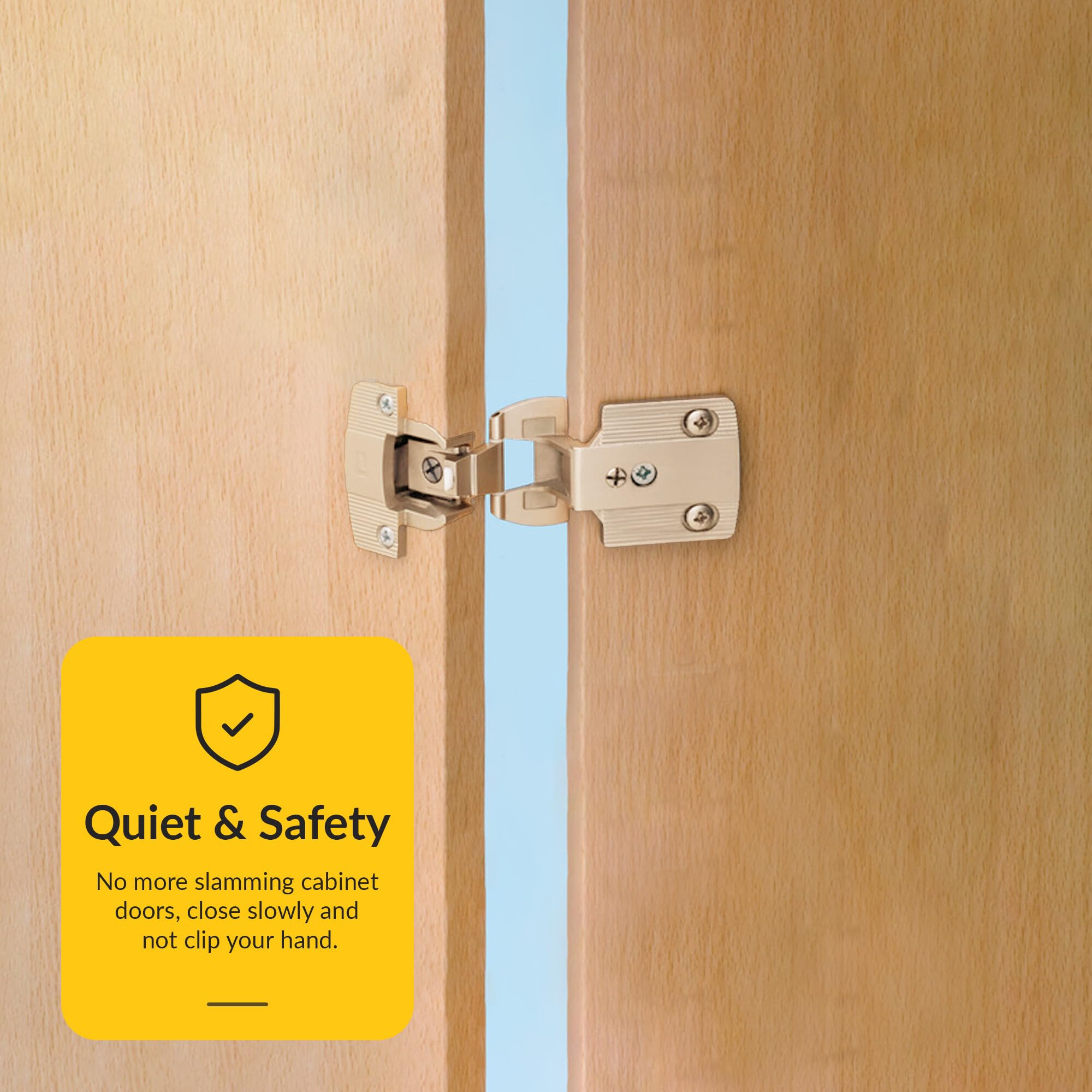 Brixwell QIF3-004 Single Pivot Institutional Hinge Arm Expanding Dowels Matt Finish 270 Degree Opening Angle