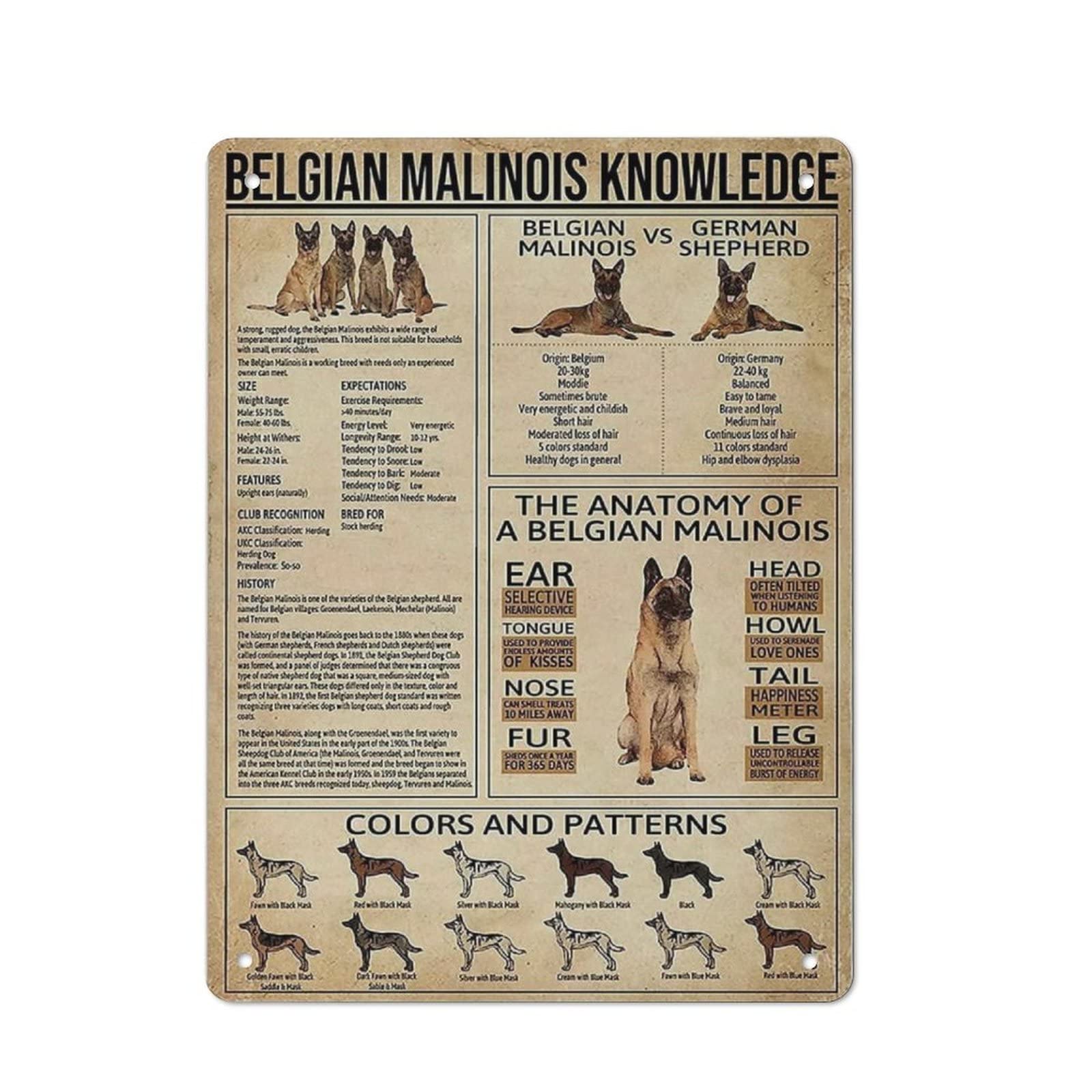AOOEDM Belgian Malinois Knowledge Metal Sign for Home Coffee Garage Wall Decor Vintage Poster Bar Signs for Home Bar Retro Metal Tin Sign