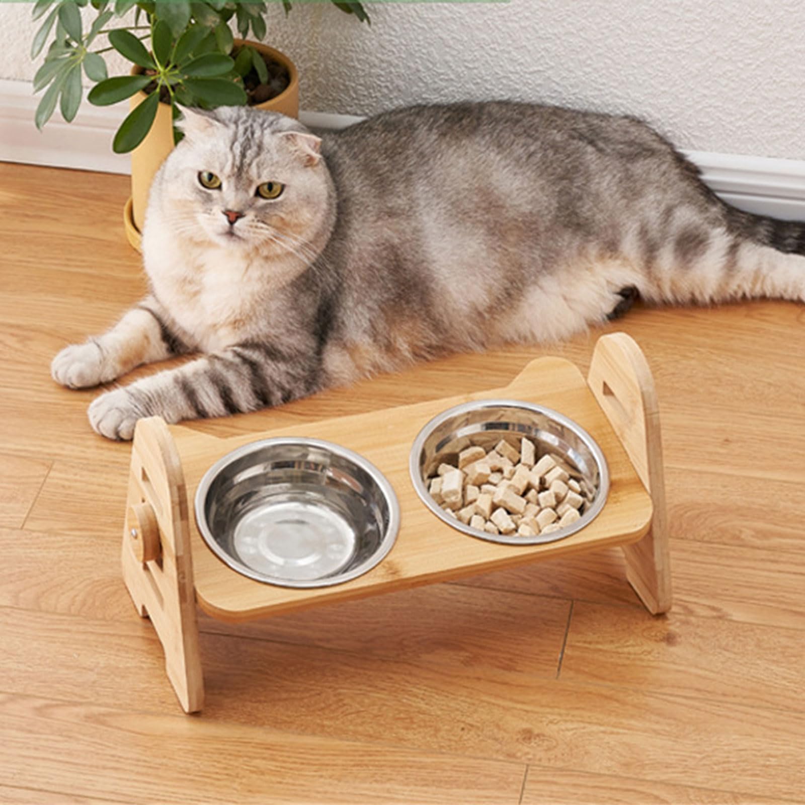 Ciotole per animali domestici Ciotola anti-vomito per gatti piccoli gattini Alimentatore di cibo Dispenser di acqua Forniture per irrigazione Antiscivolo Alimentazione per animali