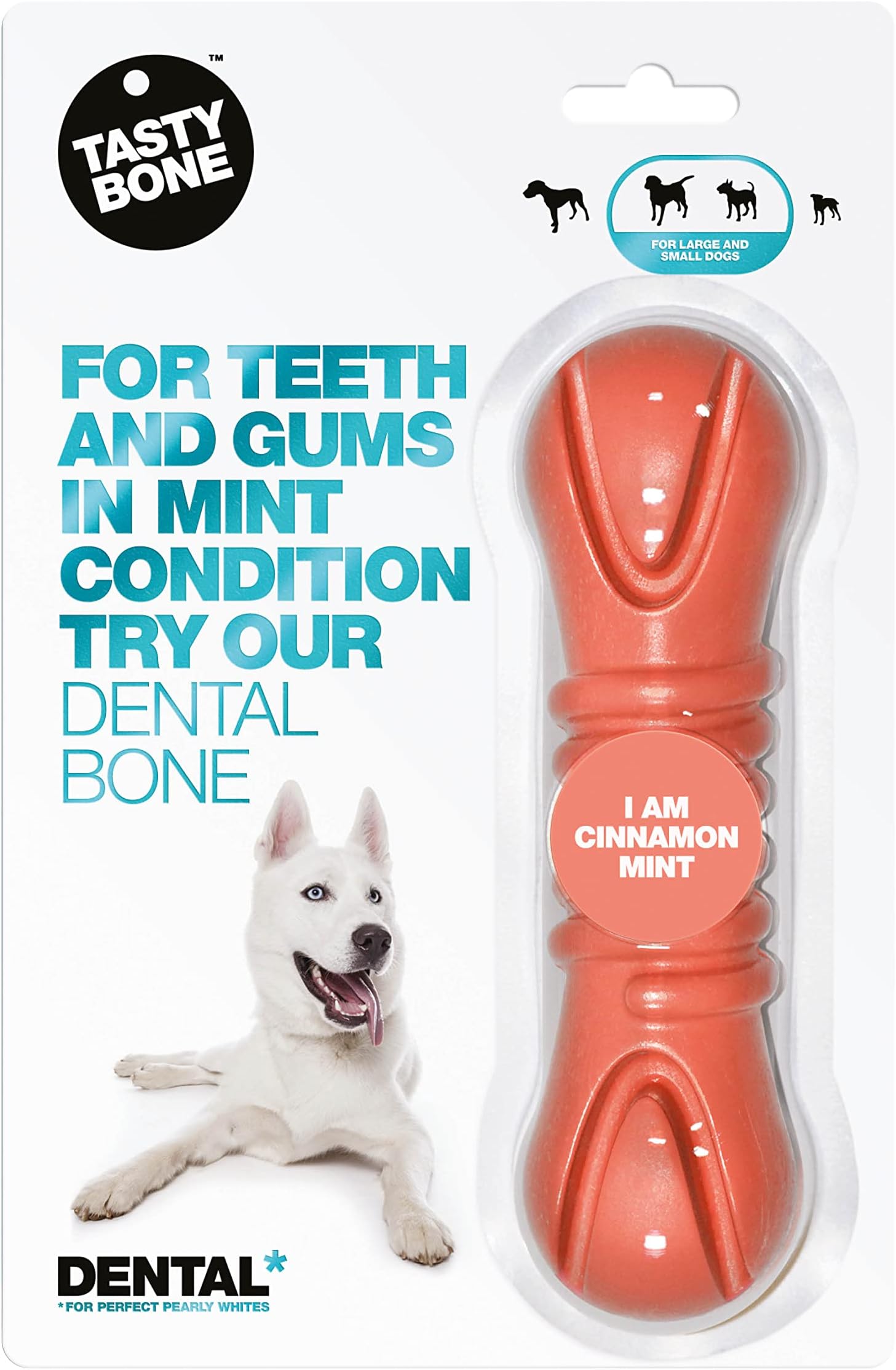 TastyBone TastyBrush Dental Nylon Dog Chew Toy (Cinnamon Mint) - Strong Healthy Teeth & Gums, Indestructible for Aggressive Chewers, Everlasting Flavour, Made in the UK