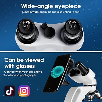 Binocular Microscopes (40X-1000X) Compound Biological Microscope Double Layer Mechanical Stage, Mobile Phone Holder for Laboratory Use for Adults, Teenagers, College Students