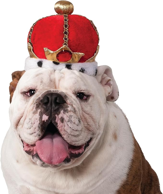 Corona para Perros o Gatos Rubies King, Talla M/L miniatura 2