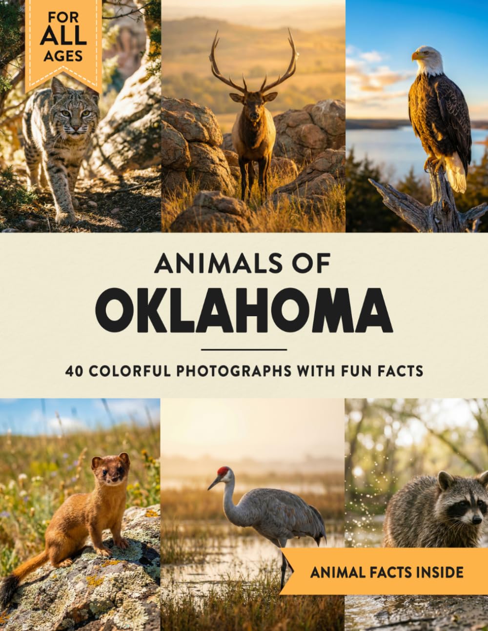 Animals of Oklahoma: Learn All About Sooner State Wildlife in a Fun Fact Picture Book for Kids and Adults