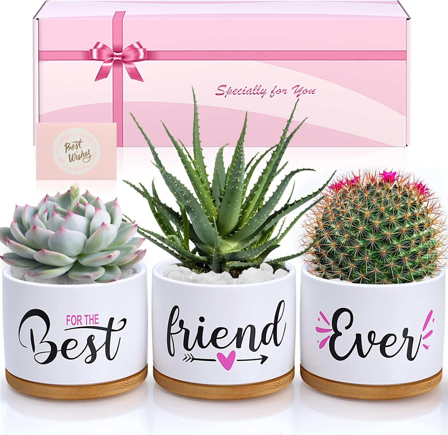 Best Friend Birthday Gifts for Women BFF Friendship Gifts for Women & Men