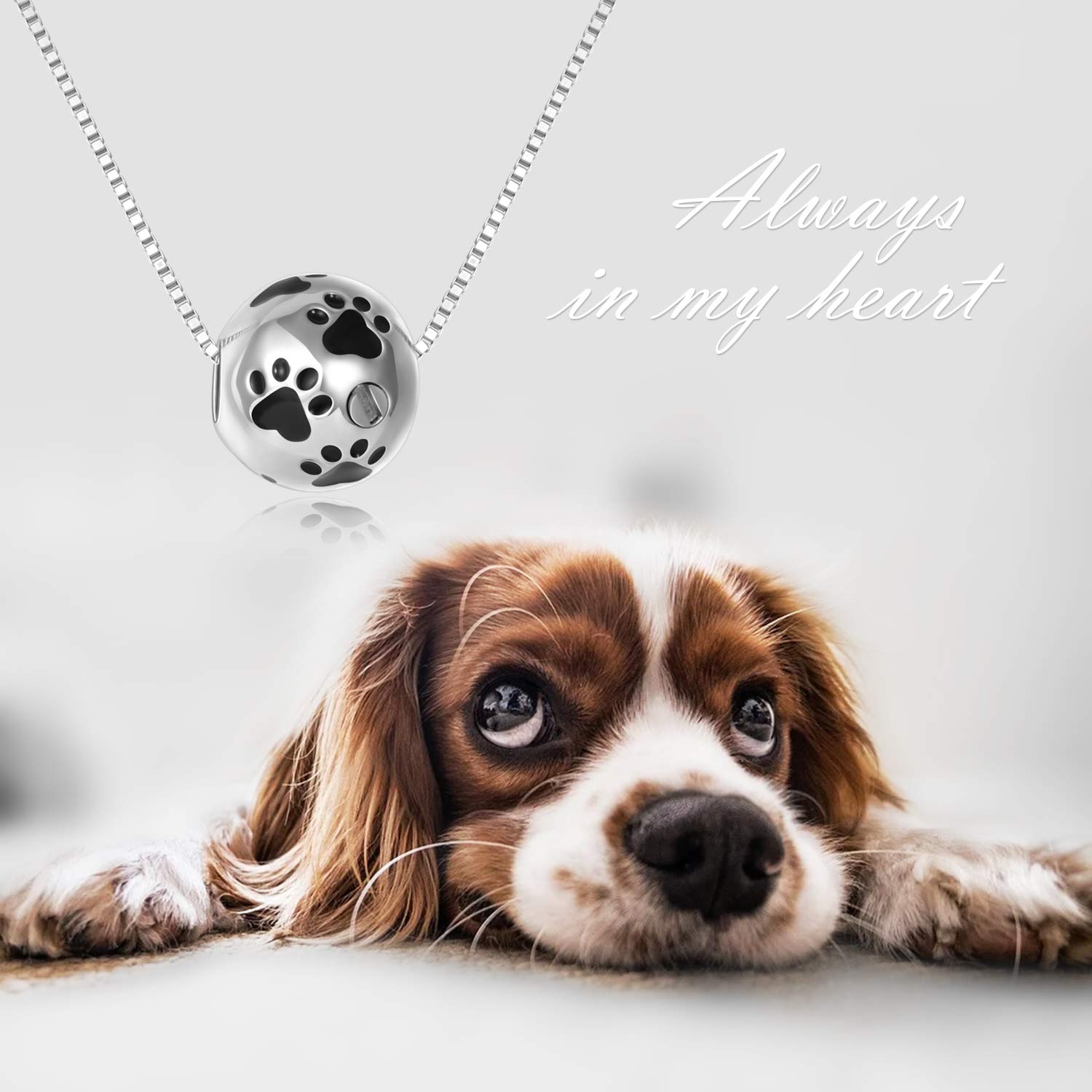 Snapklik.com : Paw Urn Necklace For Ashes Sterling Silver Dog Cat Pet ...