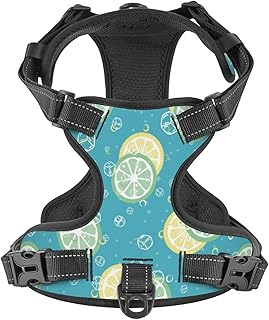 No Pull Dog Harness for Large Dogs Easy Walk Dog Vest Adjustable Collars Harnesses & Leashes Set Breathable Oxford Outdoor Walking Safety Reflective Strip Fruit Pattern with Lemon Prints