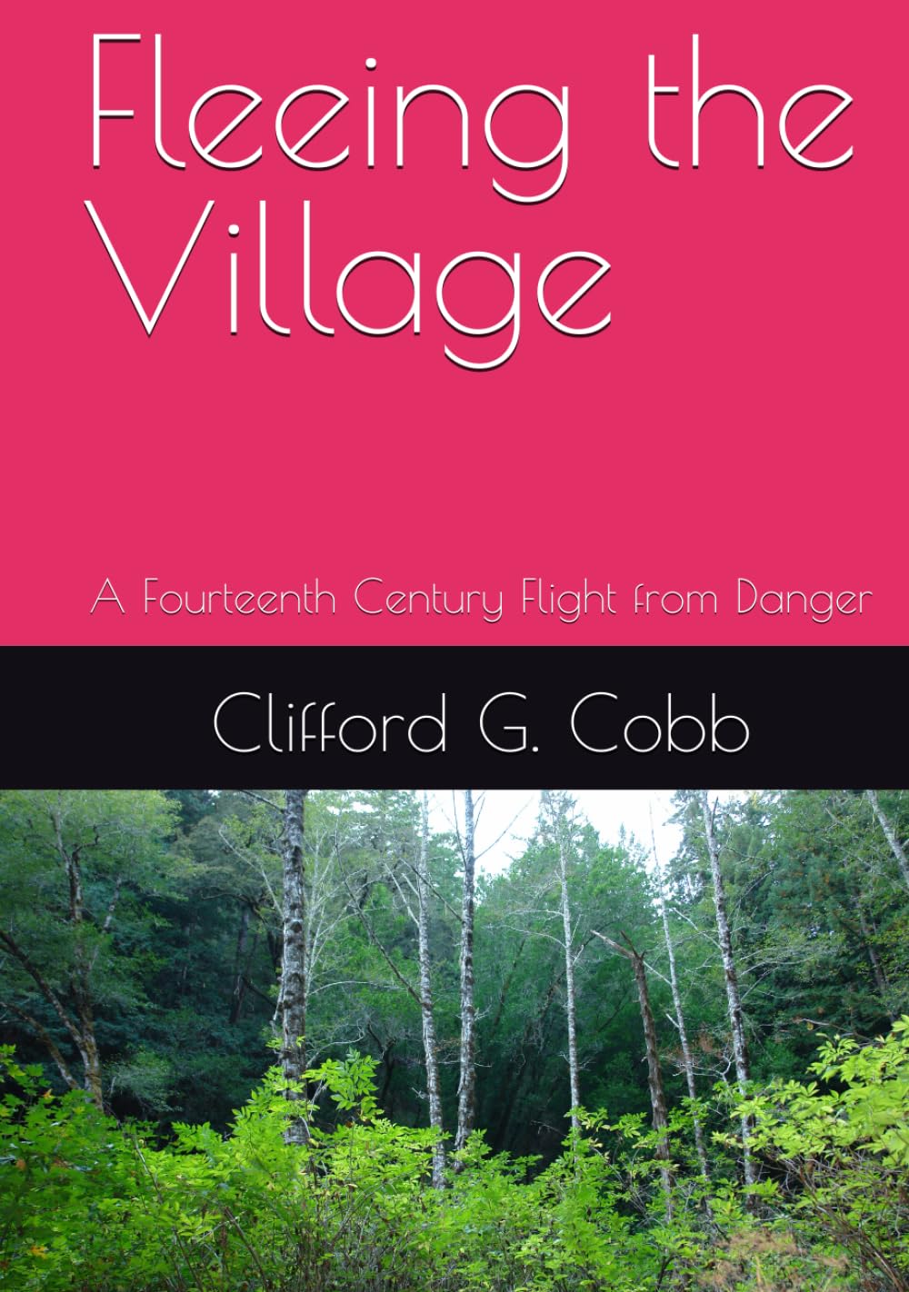 Fleeing the Village: A Fourteenth Century Flight from Danger (Tales of Mystery and Imagination)