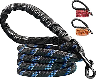 Candure Guinzaglio per Cani, Elastico Nylon Riflettente Resistente Guinzaglio Cane con Morbida Imbottita Impugnatura, 5ft Guinzaglio Addestramento per Cani Taglia Grande,Media e Piccola (Nero)