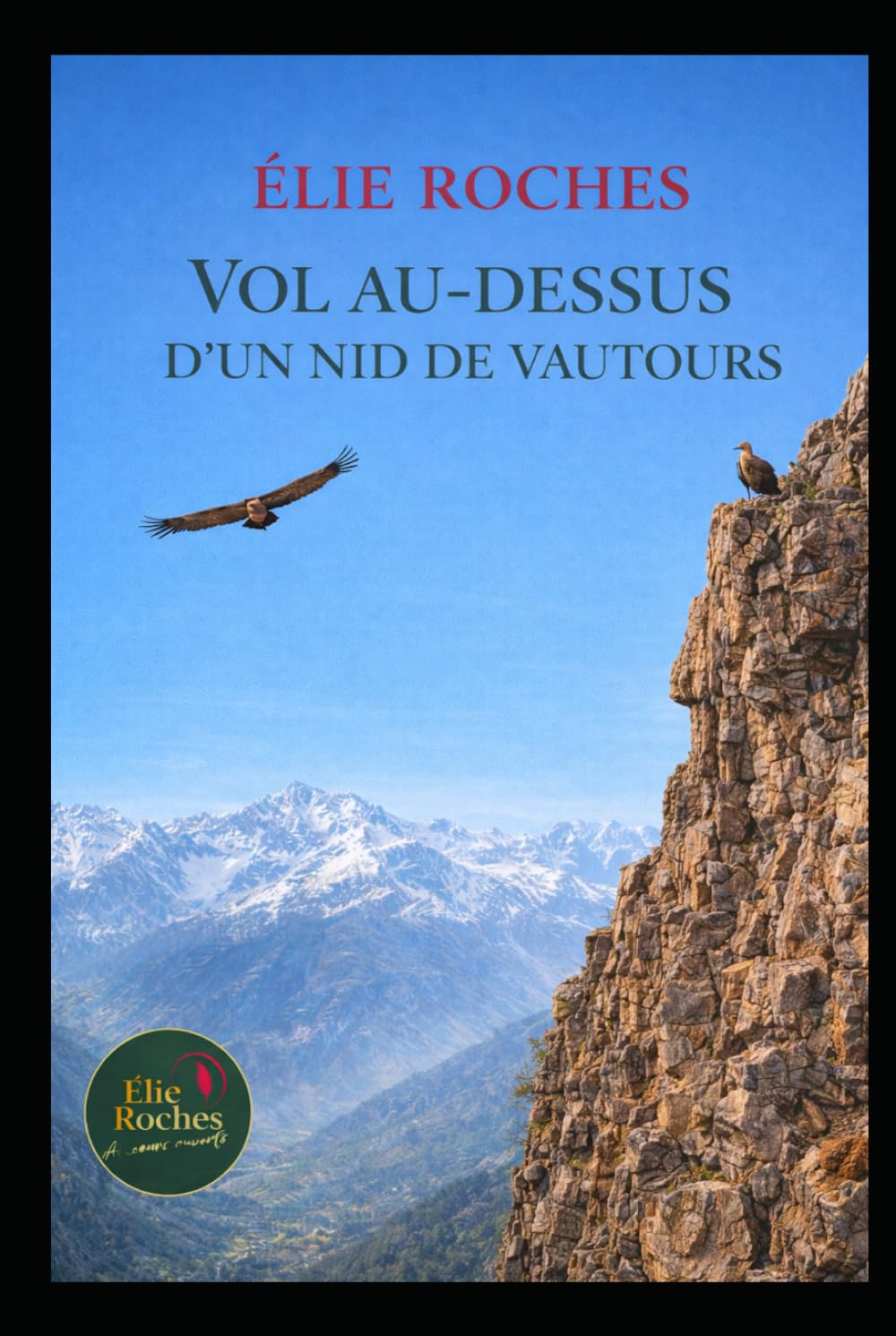 Vol au dessus d'un nid de vautours