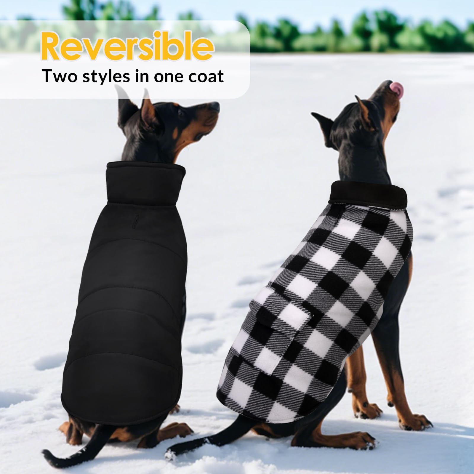 ASENKU Cappotto Cane Impermeabili Invernale, Cappottino Cane Reversibile Antivento Freddo, Calda Giacca per Cani Taglia Piccola S, Gilet per Cani con Fodera in Lana Protegge Dal Freddo