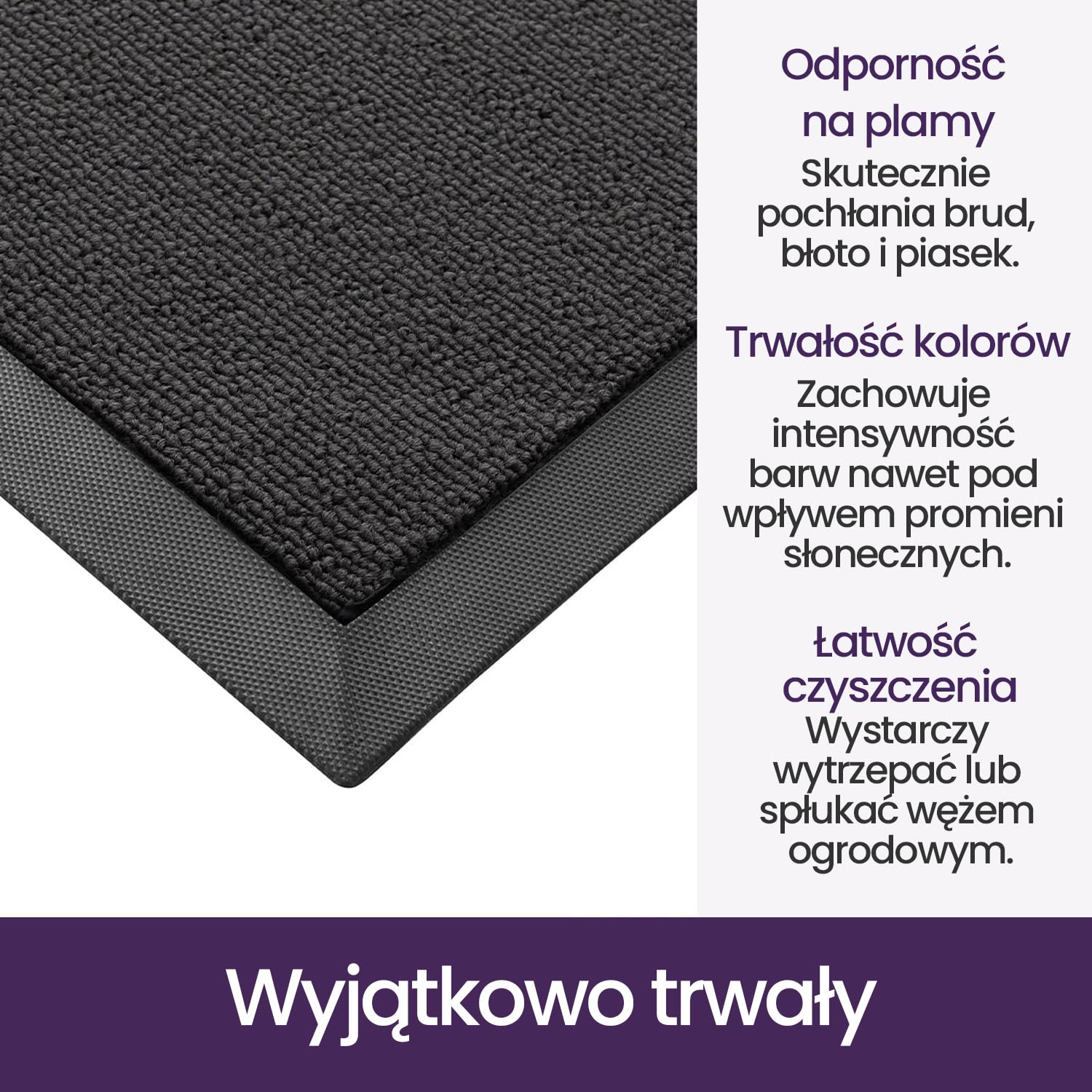 DEXI Wycieraczka do drzwi 60 x 90 cm, antypoślizgowa, odporna na plamy i blaknięcie, niski profil, łatwe do czyszczenia, dywanik wejściowy do użytku na zewnątrz i wewnątrz, jednolity szary