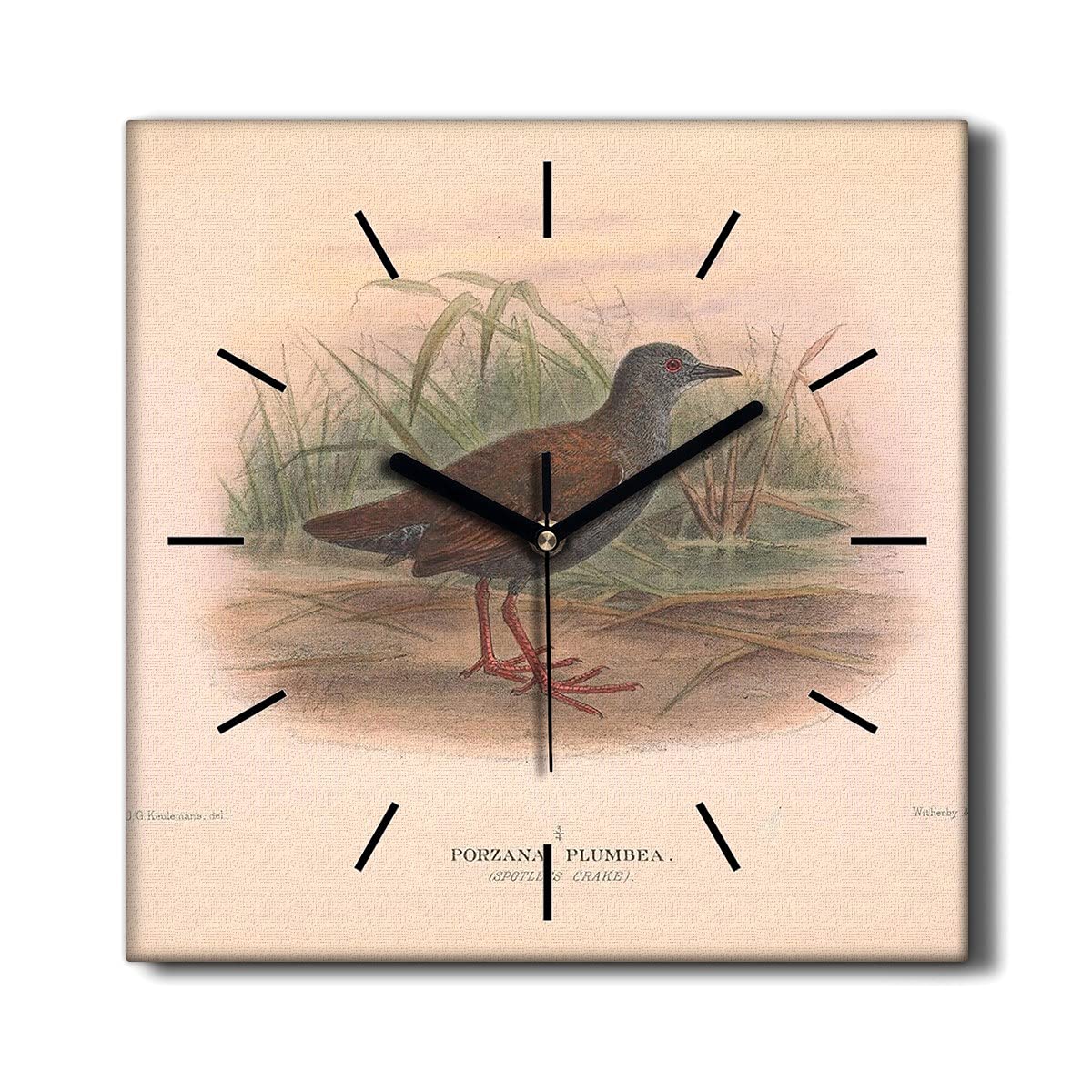 Horloge sur Toile Coloray 30x30cm - Horloge Murale sans tic-tac Motif Oiseaux Dessin Animaux