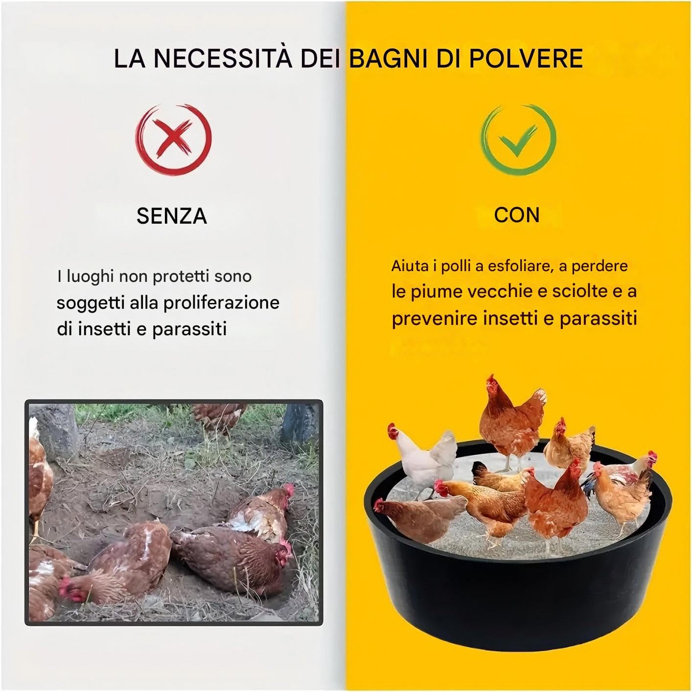 Bagno di Polvere per Galline Pollaio Regolabile 63Cm Pollame