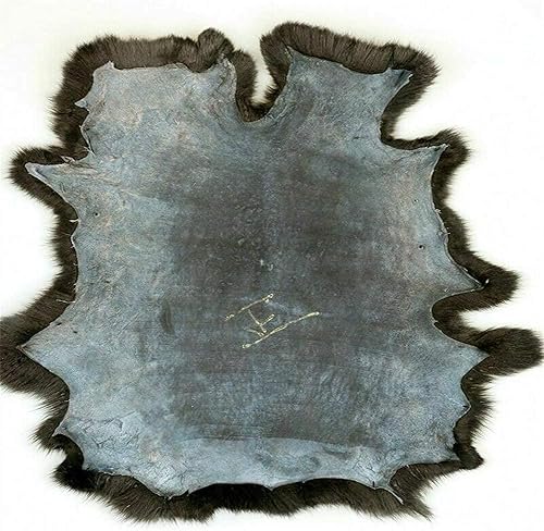 Miniatura 2 de Piel de conejo natural de calidad artesanal, piel de conejo de calidad de costura, 10 x 14 pulgadas, color negro, paquete de 2 unidades