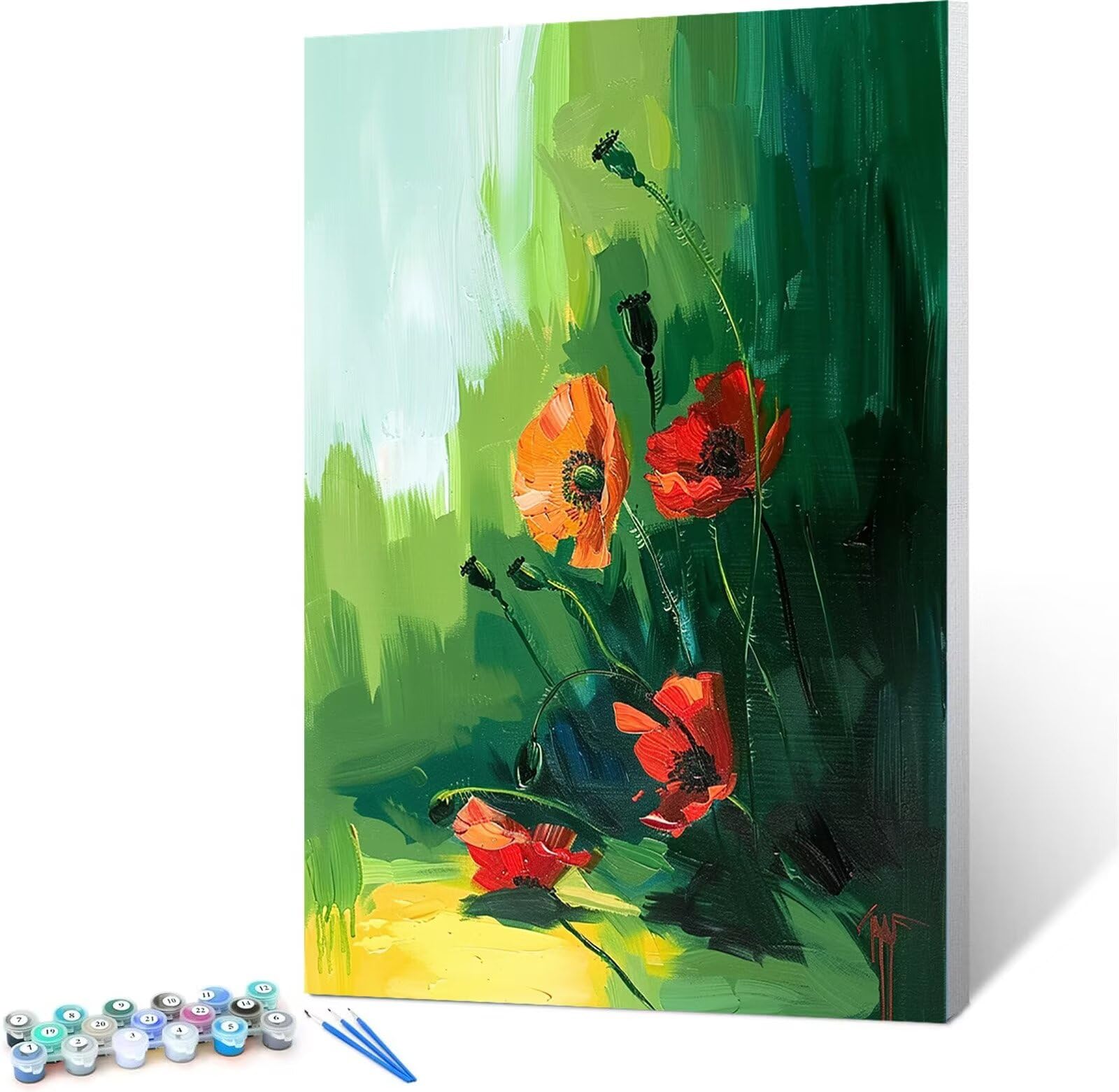 Dipingere con i Numeri Papavero Cornice di Legno Pittura su Tela per Adulti e Bambini con Colori Acrilici e spazzole (Pittura) 60x80cm (Con Scatola)