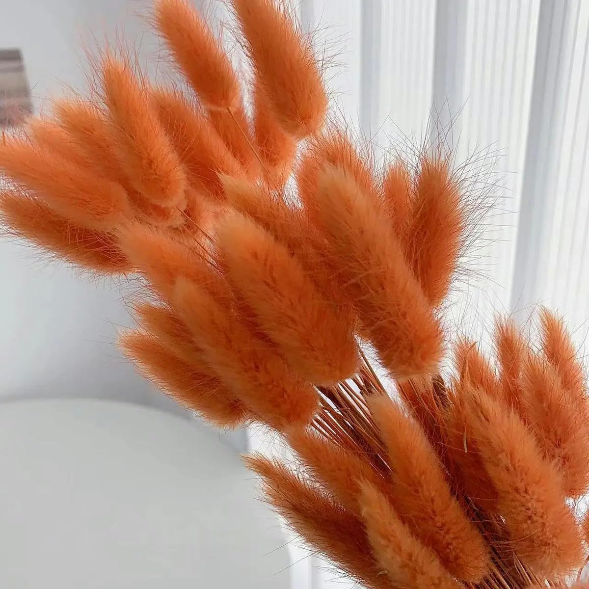 100pcs Queues de Lapin Bouquet de Fleurs Séchées en Herbe Boho Décoration d'Intérieur Naturel Lagurus Ovatus Floral Décoration de Mariage-Orange-100PCS