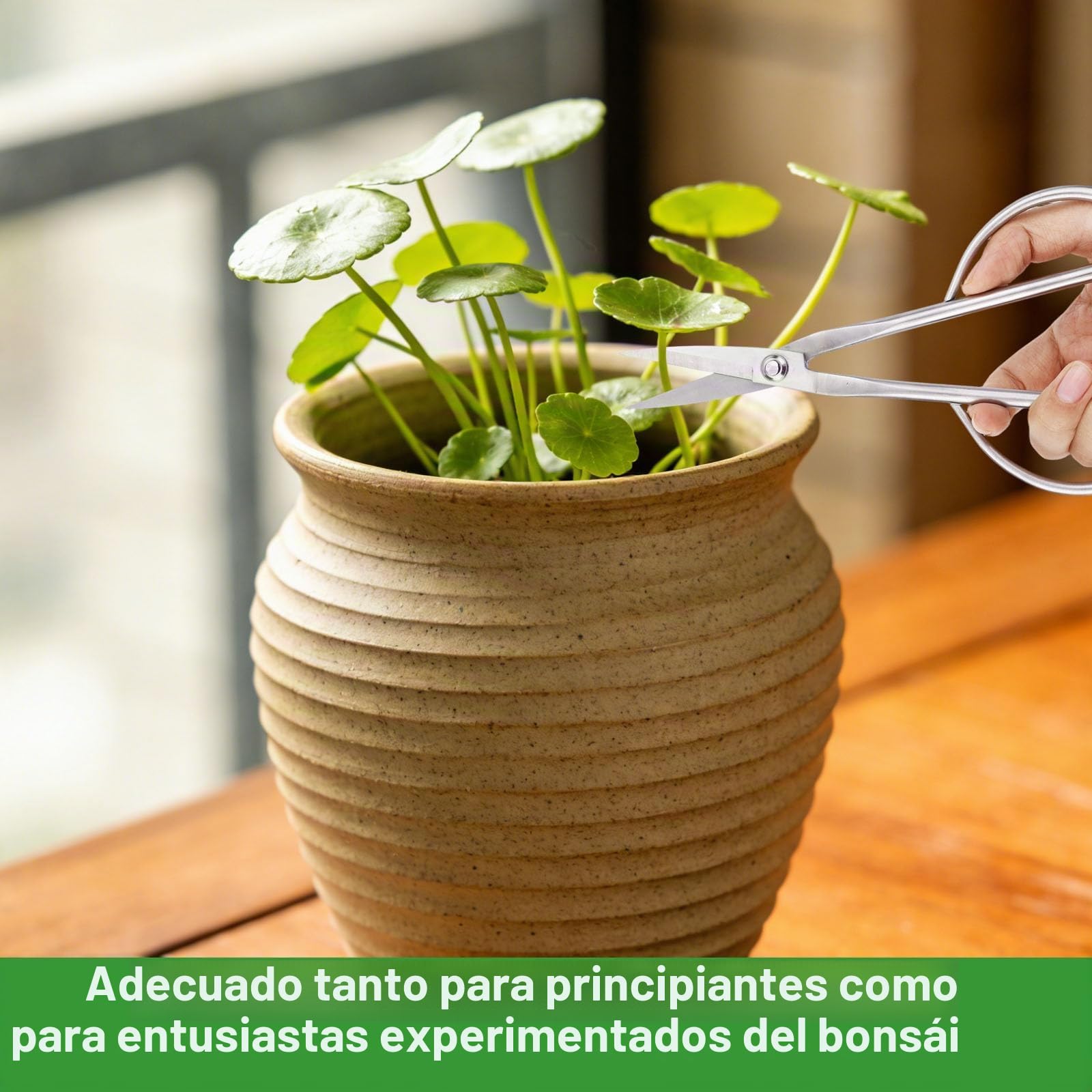 3uds Herramientas para Bonsai, Profesional Acero Inoxidable con Cortador de Pomo Cortador Cóncavo y Tijeras Hojas para Poda Modelado y Cuidado Plantas Precisión