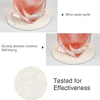 Vista 4 de Juego de 2 posavasos de mesa absorbentes de cerámica, resistentes al calor, con base de corcho, diseño de hojas para proteger los muebles