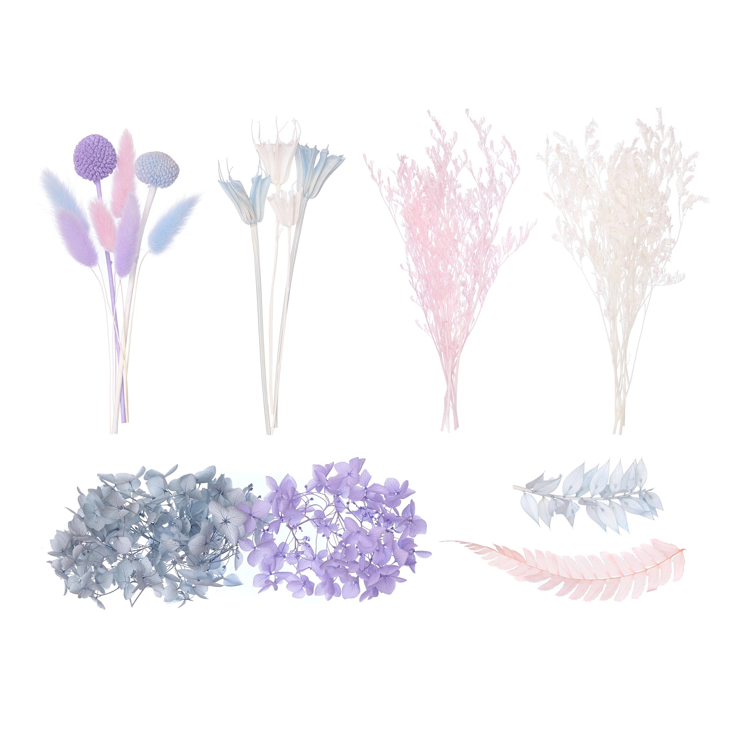 The Baked StudioDeluxe Dried Flower Set Containing Octagonal Flowers, Craspedia, Lagurus, Fern Leaf, Ruscus, Limonium & Hydrangea (Cool Blues, Lilac, Pink & White)