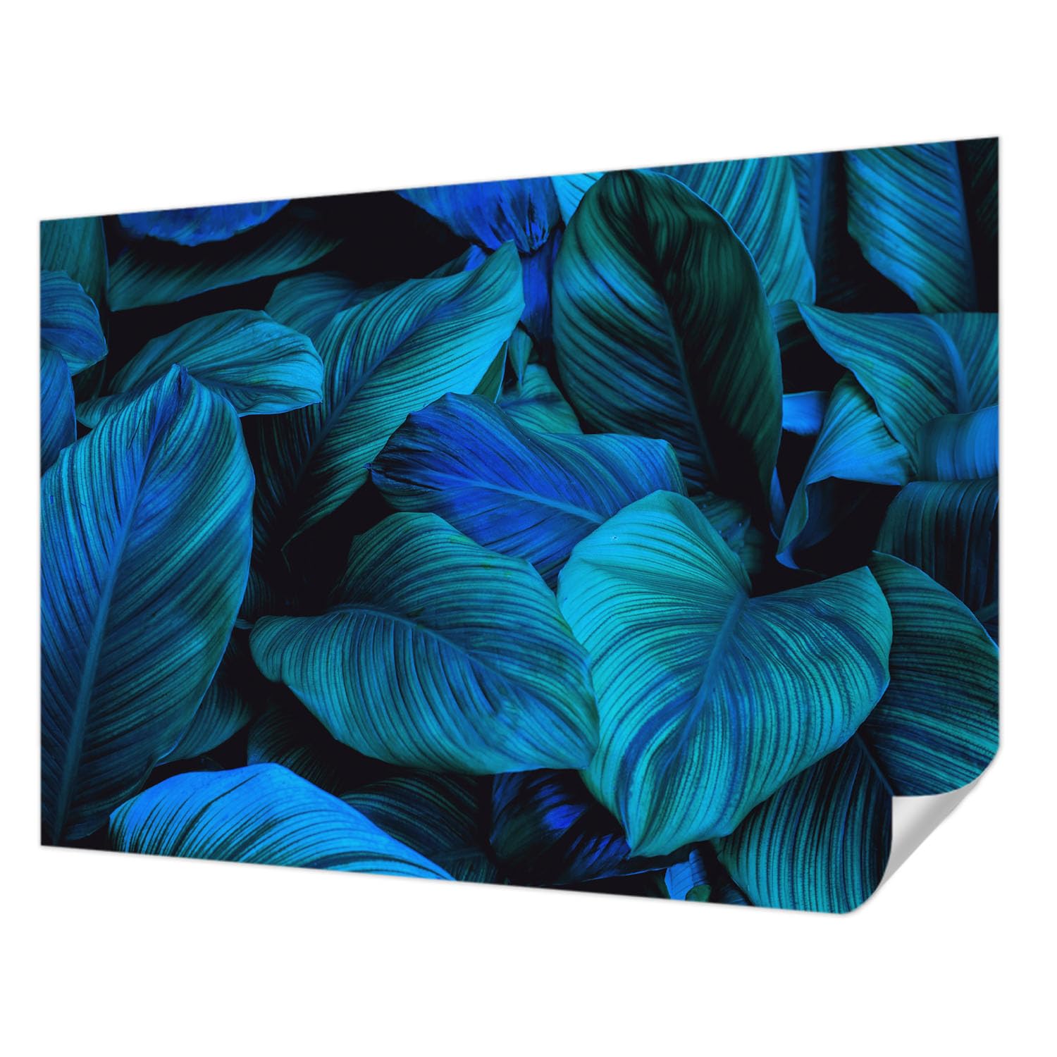 Revêtement mural autocollant feuilles bleues panoramique salon chambre