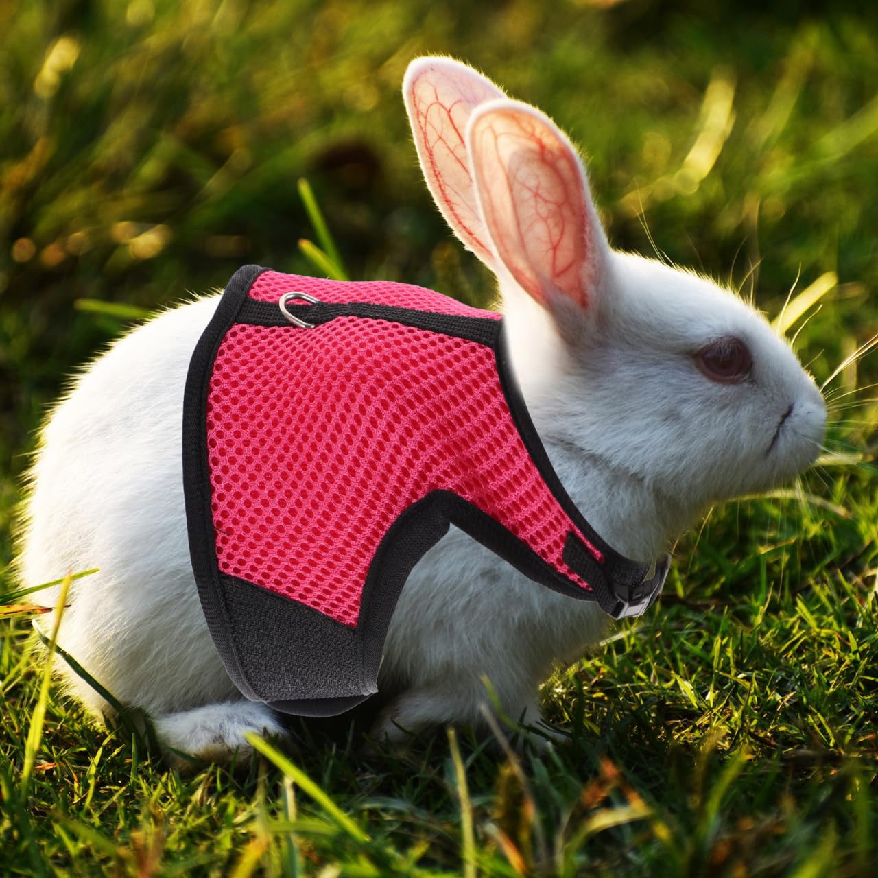 Abaodam Kaninchengeschirr Mit Leine 3Er Set Bunny Vest Harness Für Kaninchen Frettchen Meerschweinchen Und Ratten Weich Atmungsaktiv Für Training Spaziergänge Und Outdoor-Aktivitäten