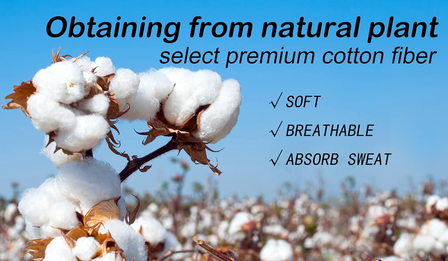 Ait fish Womens 100% Cotton Casual Crew Socks Soft Seamless Ankle Socks for Women - Image 7