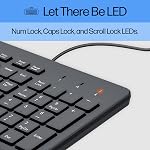 HP 150 Clavier filaire - Clavier complet avec clavier numérique - Clavier en silent-Touch Chiclet - Design ergonomique et confortable - USB Connectivité Plug-and-Play, LED Indicateurs (240J7AA, Noir)