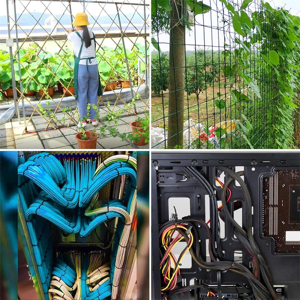 View 5