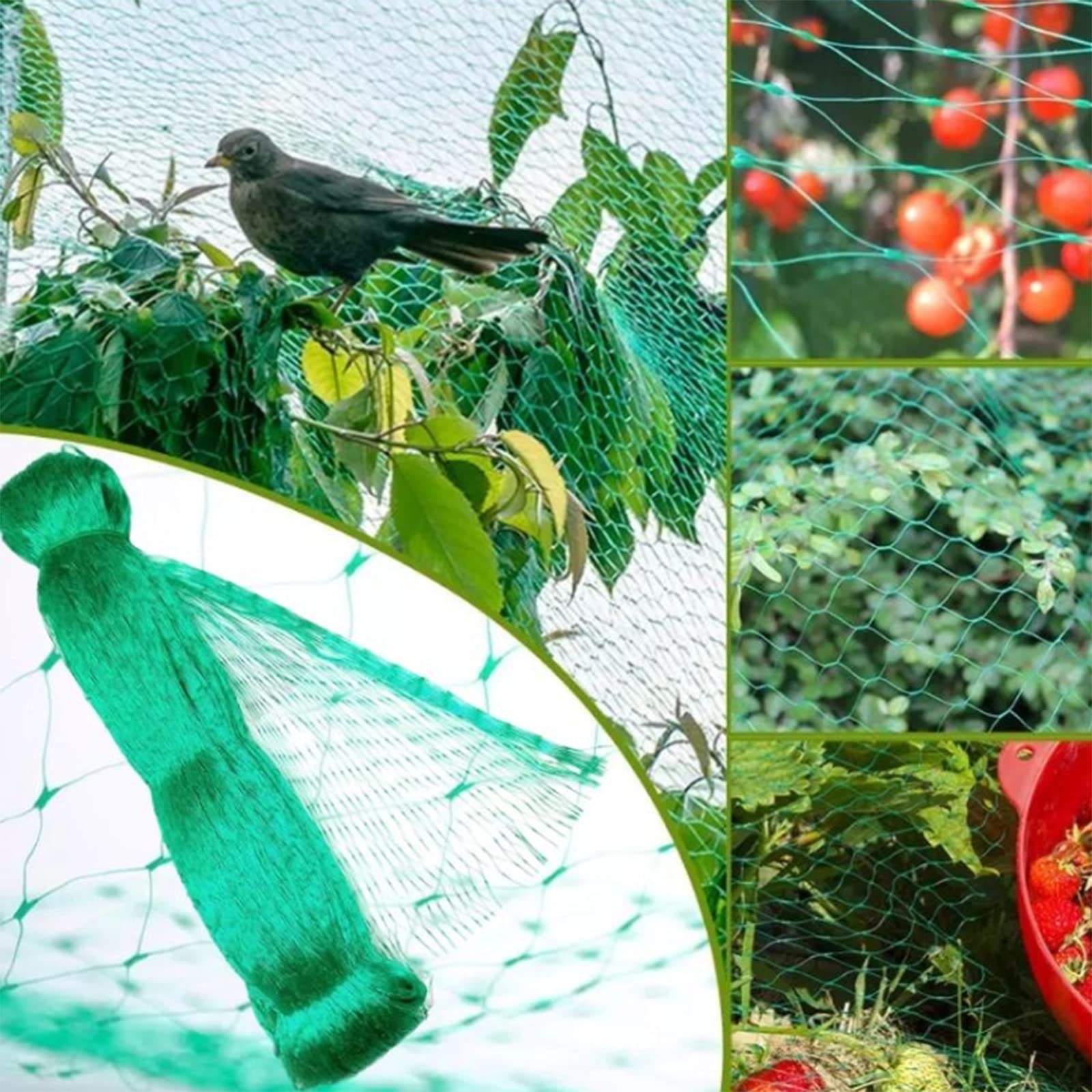 Rete per Piante Rampicanti, Rete da Giardino, Verde Rete Protezione per Piante, Stagni Frutti Larghezza Maglie 1.5 Cm per Vegetali e Frutta Rete