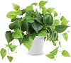 CEWOR Artificial Plants Fake Pothos with Plastic Pot Artificial Potted Plant for Home Office Bedroom Indoor Outdoor Decor 1 Pack