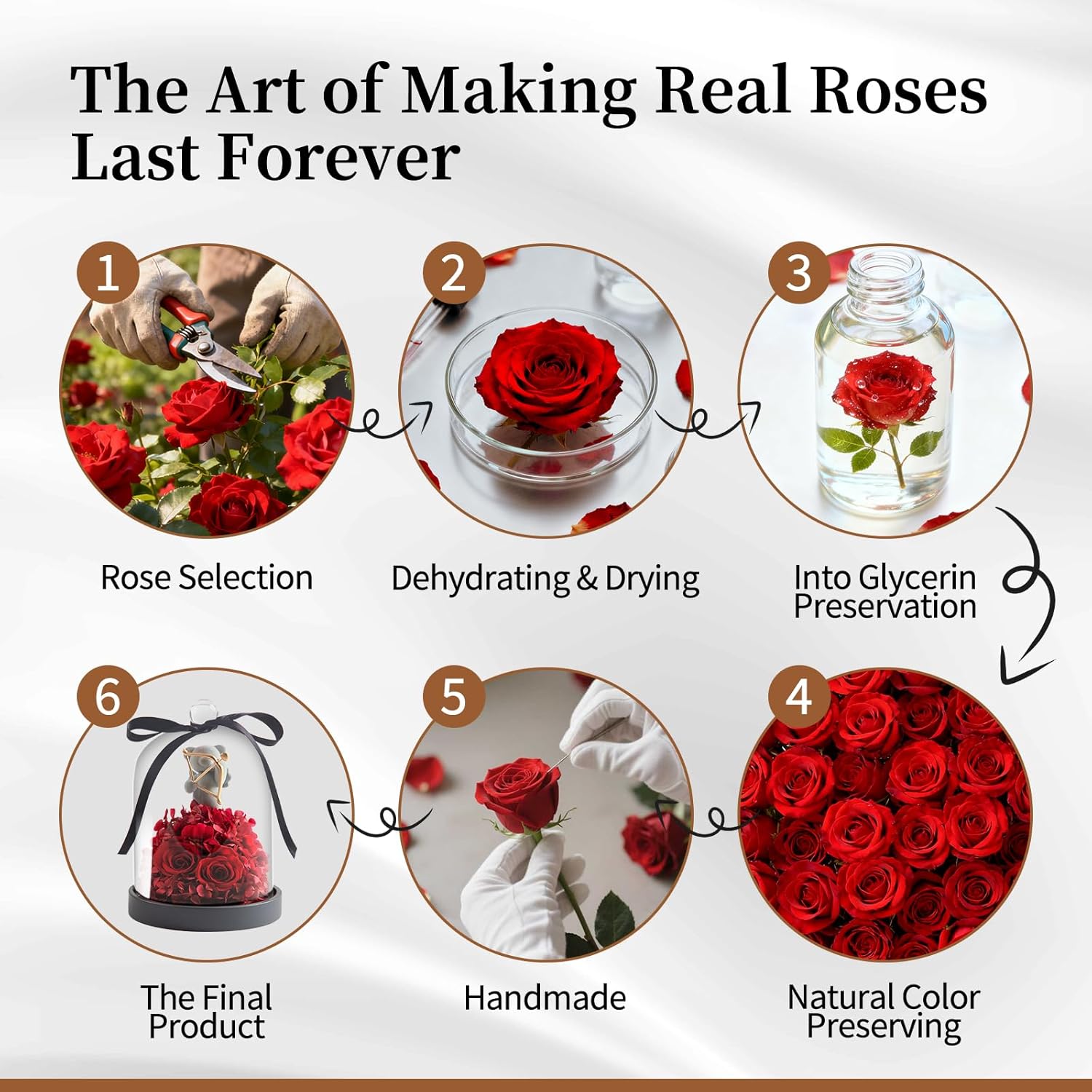 SEEROSE Preserved Roses in Glass with Cupid Rose Bear, Real Forever Rose with Elegant Gift Box, Cute Valentine's Day, Anniversary, Birthday Gift for Her Wife Girlfriend Mom (Cupid Bear, Red) - Image 7