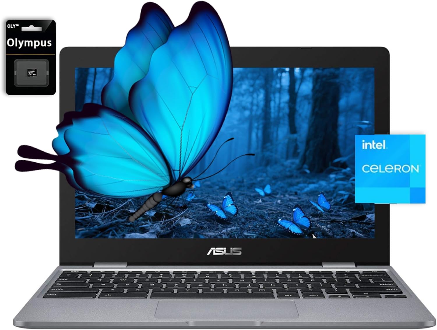 ASUS Chromebook Laptop,11.6" HD Anti-Glare Display, Intel Celeron N3350,4GB RAM,288GB eMMC Storage(32GB+256GB SD Card),Webcam,ChromeOS,Grey