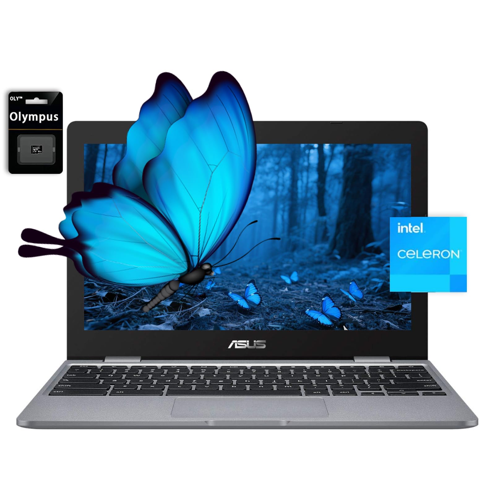 Amazon.com: ASUS Chromebook Laptop,11.6