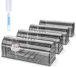Wanqueen Pacote Com 4 Ratoeiras Humanas Para Ambientes Internos, Não Matam, Pequenas Reutilizáveis Pegar Ratos, Casa E Ao Ar Livre