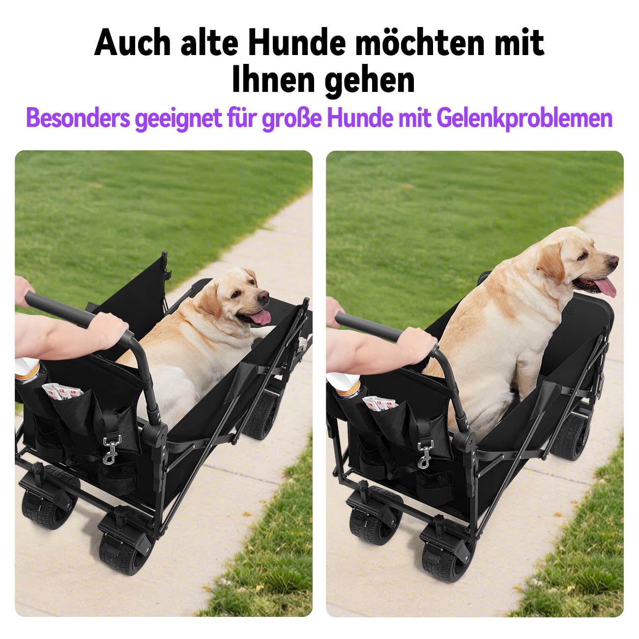 Carrito para Perros Grandes Senior y Post-Cirugía, 50kg, Plegable con Ruedas Sin Aire y Puerta Trasera de Fácil Acceso - GGW