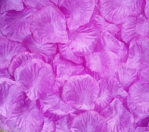 Miniatura 6 de 1000 pétalos de rosa artificiales de seda, para boda, boda, fiesta, jarrón, decoración de mesa (champán)